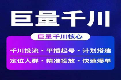 电商行业SEM运营的挑战与成功案例